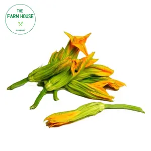 Bông Bí - Pumpkin Flowers - THE FARM HOUSE