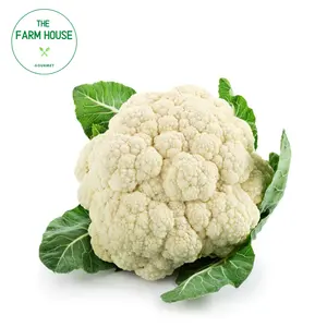 Bông Cải Trắng Giống Nhật - Cauliflower - THE FARM HOUSE