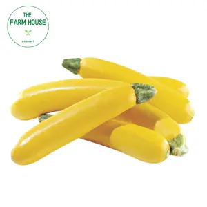 Bí Ngòi Vàng - Yellow Zucchini - THE FARM HOUSE
