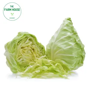Bắp Cải Trái Tim - Pointed Cabbage - THE FARM HOUSE