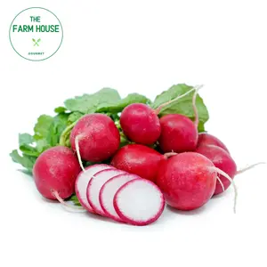 Củ Cải Đỏ Baby - Baby Red Radish - THE FARM HOUSE