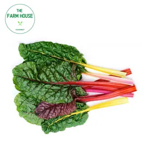 Cải Cầu Vồng - Swiss Chard - THE FARM HOUSE