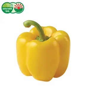 Ớt Chuông Vàng - Yellow Bell Pepper - KATA FARM HUB