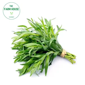 Ngải Giấm - Tarragon (50g) - THE FARM HOUSE