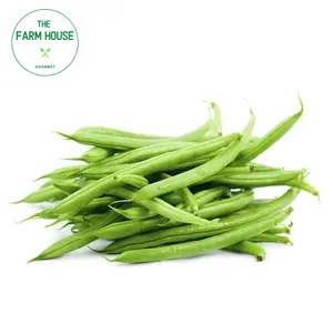 Đậu Cove Pháp - French Green Bean - THE FARM HOUSE