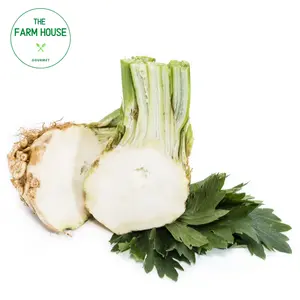 Củ Cần Tây - Celeriac (Celery Root) - THE FARM HOUSE
