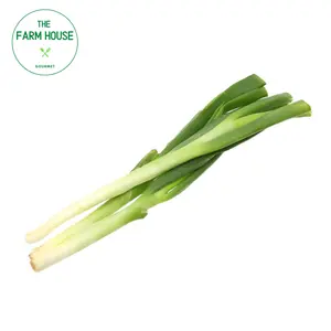 Hành Paro Không Lá - Leek - THE FARM HOUSE