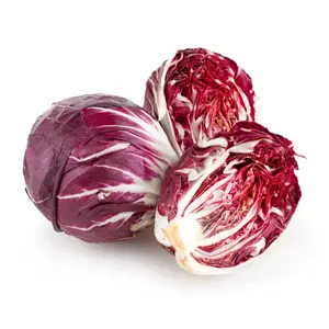 Xà Lách Đắng Đỏ - Radicchio Lettuce - THE FARM HOUSE