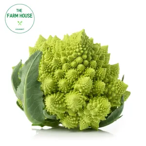 Súp Lơ San Hô - Romanesco Broccoli - THE FARM HOUSE