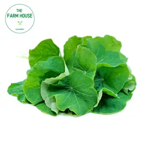 Lá Sen Cạn - Nasturtiums Leaves - THE FARM HOUSE