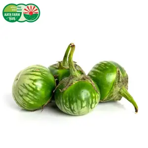 Cà Xanh Trứng - Thai Round Green Eggplant (300g) - KATA FARM HUB