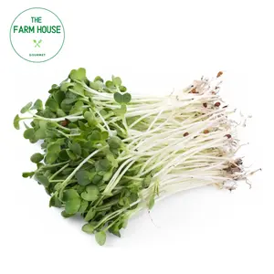 Mầm Cải Trắng - Radish Microgreens (100g) - THE FARM HOUSE