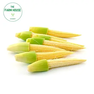 Bắp Non Tách Vỏ - Peeled Baby Corn - THE FARM HOUSE