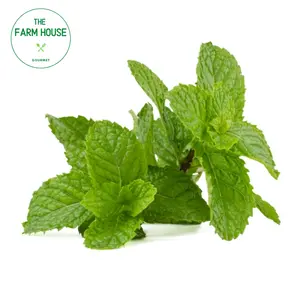 Húng Lủi - Mint Leaves (50g) - THE FARM HOUSE
