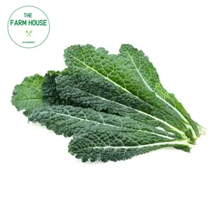 Cải Xoăn Ý - Lacinato Kale - THE FARM HOUSE