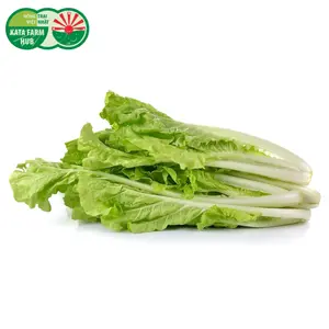 Cải Bẹ Dún Con - Mini Curved Mustard Leaf (250g) - KATA FARM HUB