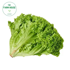 Xà Lách Lo Lo Xanh - Lollo Lettuce - THE FARM HOUSE