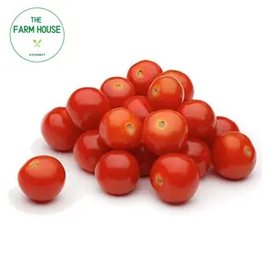 Cà Chua Cocktail - Cocktail Cherry Tomatoes - THE FARM HOUSE