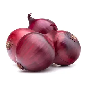 Hành Tây Tím Hà Lan - Dutch Purple Onions (500g) - THE FRUIT REPUBLIC