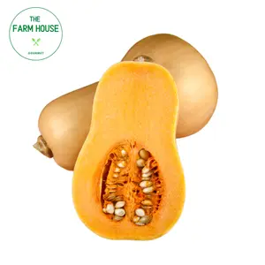 Bí Hạt Đậu - Butternut Winter Squash - THE FARM HOUSE