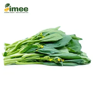 Cải Ngồng VietGAP - Choy Sum (250g) - SIMEE