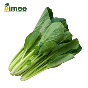 Cải Ngọt VietGAP - Brassica Integrifolia (250g) - SIMEE