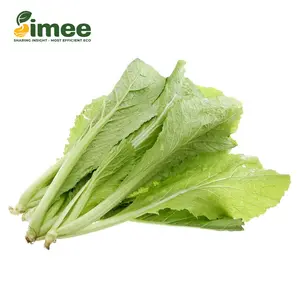Cải Xanh VietGAP - Mustard Greens (250g) - SIMEE