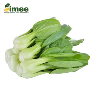 Cải Thìa VietGAP - Bok Choy (250g) - SIMEE