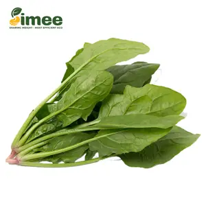 Bó Xôi VietGAP - Spinach (250g) - SIMEE