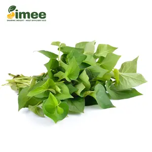 Diếp Cá VietGAP - Fish Mint (50g) - SIMEE