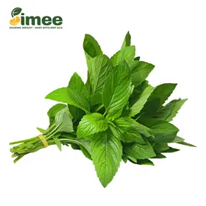 Húng Cây VietGAP - Mulukhiyah (50g) - SIMEE