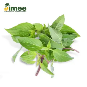 Húng Quế VietGAP - Basil (50g) - SIMEE