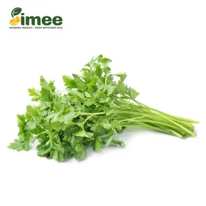 Ngò Rí VietGAP - Coriander (50g) - SIMEE
