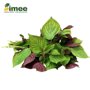 Tía Tô VietGAP - Shiso Leaves (50g) - SIMEE