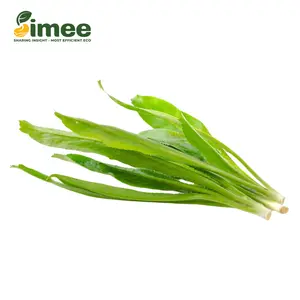 Ngò Gai VietGAP - Sawtooth Herb (50g) - SIMEE
