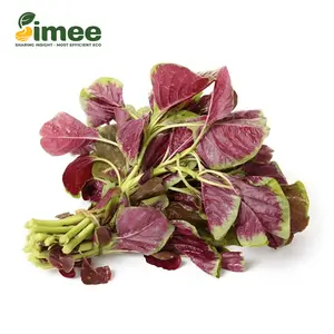 Rau Dền Lam Hữu Cơ - Organic Purple Amaranth (250g) - SIMEE