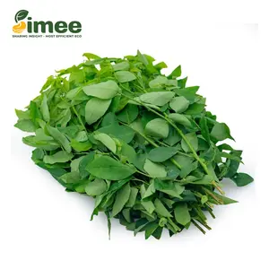 Rau Ngót Hữu Cơ - Organic Katuk (250g) - SIMEE