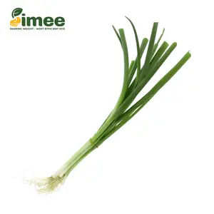 Hành Lá Hữu Cơ - Organic Spring Onion (50g) - SIMEE
