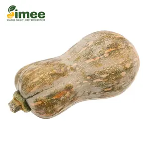 Bí Đỏ Hồ Lô VietGAP - Goianinha Pumpkin - SIMEE
