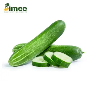 Dưa Leo Ta VietGAP - Cucumber - SIMEE