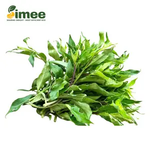 Rau Lủi Rừng Hữu Cơ - Organic Wild Edible Leaves (300g) - SIMEE