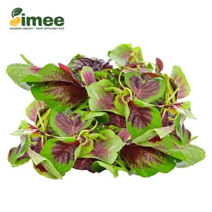 Rau Dền Lam VietGAP - Purple Amaranth (250g) - SIMEE
