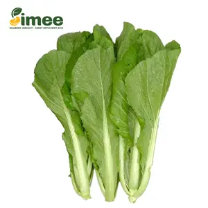 Cải Xanh Hữu Cơ - Organic Mustard Greens (250g) - SIMEE