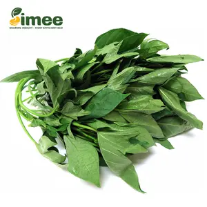 Rau Lang VietGAP - Sweet Potato Leaves (250g) - SIMEE