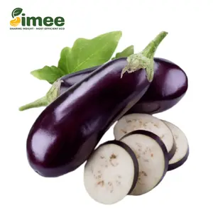 Cà Tím VietGAP - Eggplant / Aubergine - SIMEE