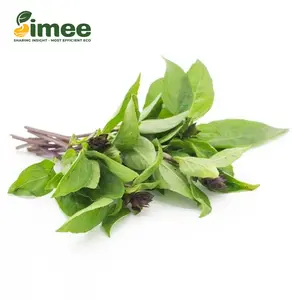Húng Quế Hữu Cơ - Organic Basil (50g) - SIMEE