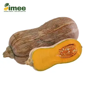 Bí Đỏ Hồ Lô Hữu Cơ - Organic Goianinha Pumpkin - SIMEE