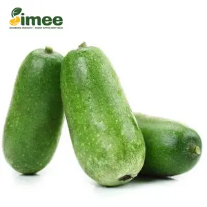 Bí Nhật Xanh Hữu Cơ - Organic Japanese Wax Gourd - SIMEE