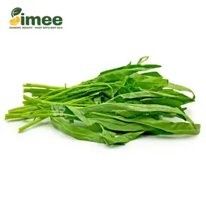 Rau Muống Hữu Cơ  - Organic Water Spinach (400g) - SIMEE