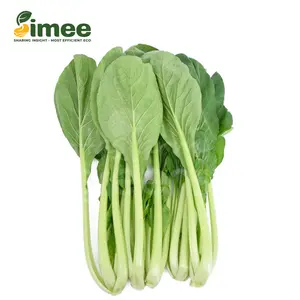 Cải Ngọt Hữu Cơ - Organic Brassica Integrifolia (250g) - SIMEE